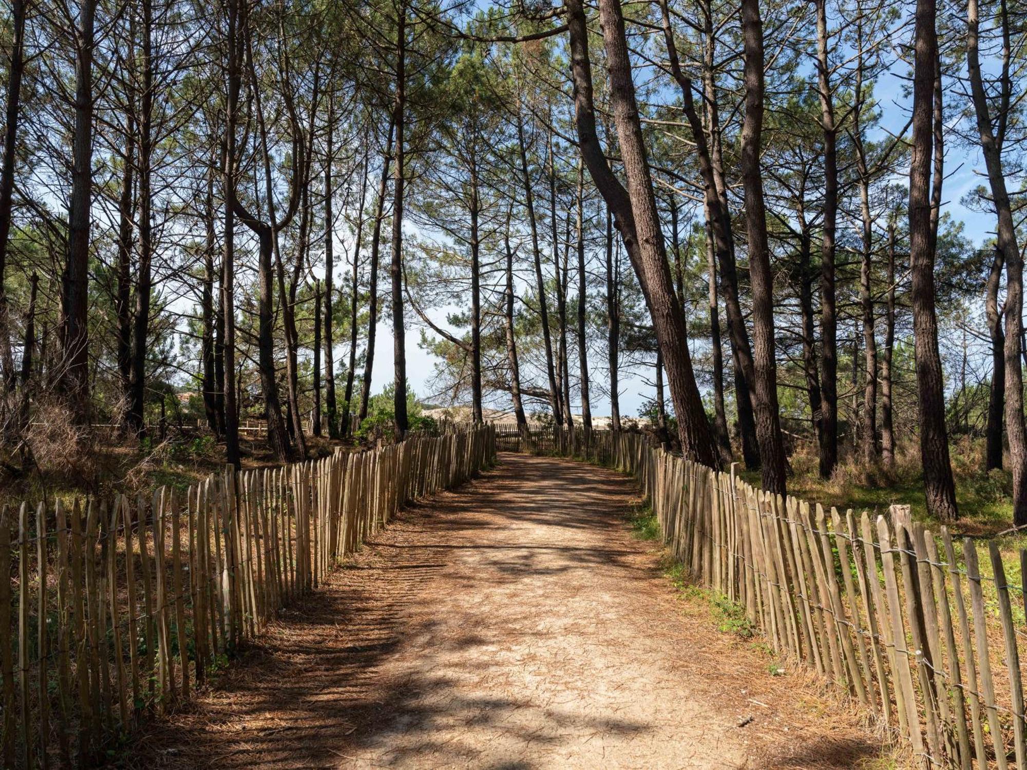 Biscarrosse Plage - Studio T1 Bis En Bord De Mer - Menage Inclus - Fr-1-319-185 外观 照片